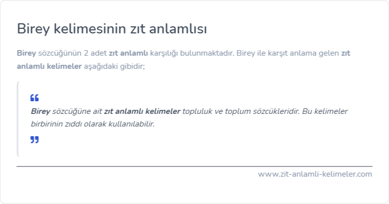 Birey kelimesinin zıt anlamlısı ne?