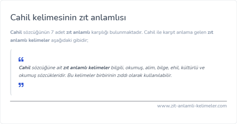 Cahil zıt anlamlısı nedir?