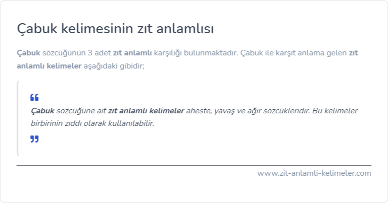 Çabuk zıt anlamlısı nedir?