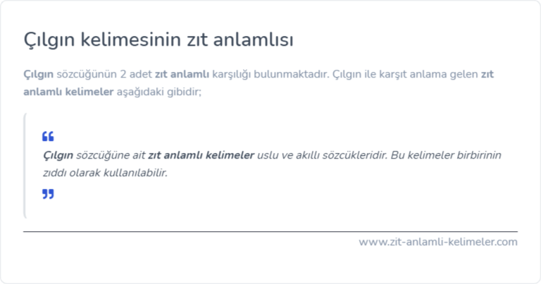 Çılgın zıt anlamlısı ne?