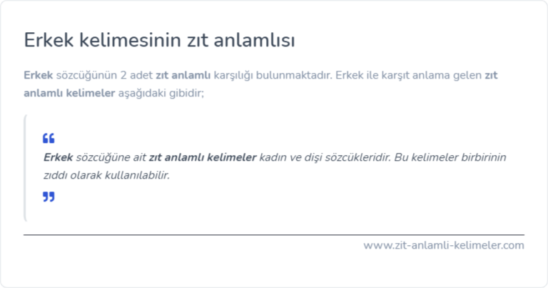 Erkek zıt anlamlısı ne?