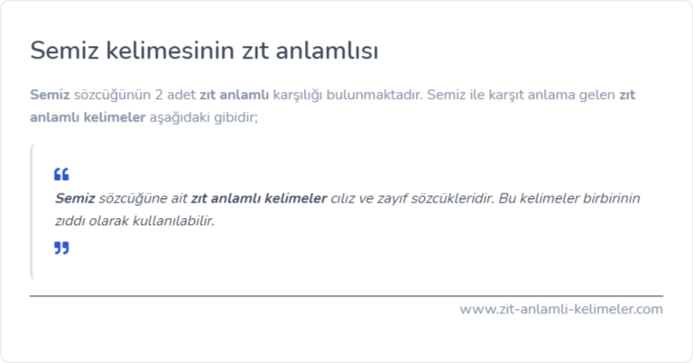 Semiz zıt anlamlısı ne?