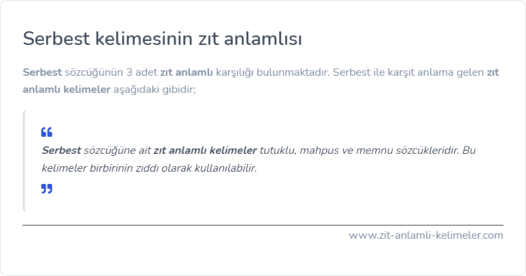 Serbest zıt anlamlısı