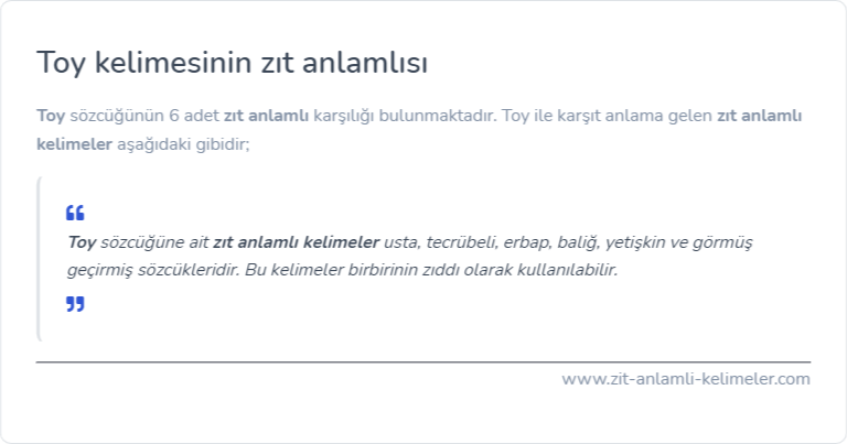 Toy kelimesinin zıt anlamlısı nedir?