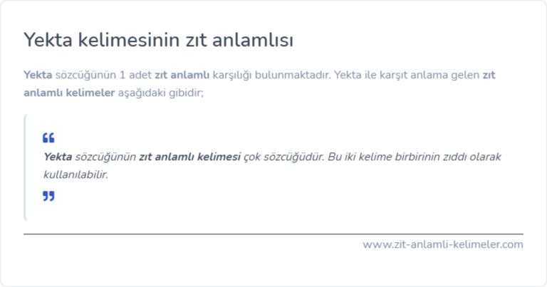 Yekta zıt anlamlısı