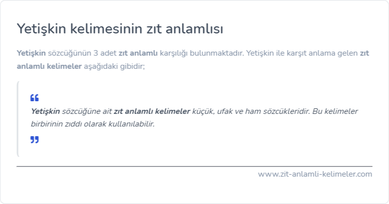 Yetişkin zıt anlamlısı